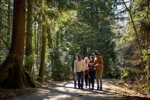 Secrets of Vancouver's Stanley Park Tour